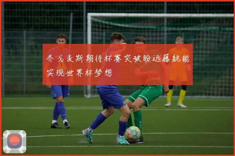 乔戈麦斯期待杯赛突破盼远藤航能实现世界杯梦想