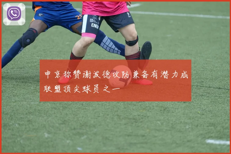 申京称赞谢泼德攻防兼备有潜力成联盟顶尖球员之一