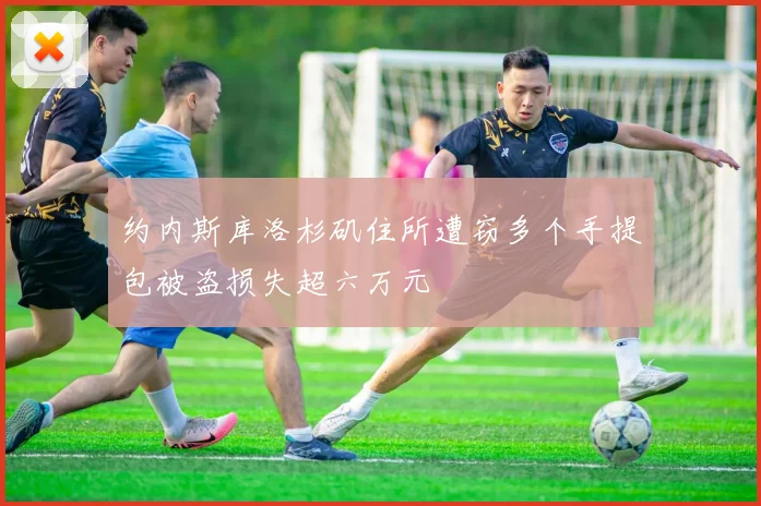 约内斯库洛杉矶住所遭窃多个手提包被盗损失超六万元