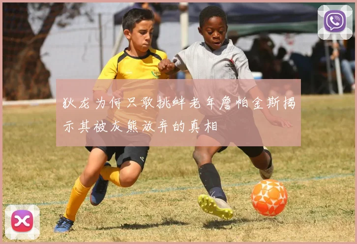 狄龙为何只敢挑衅老年詹帕金斯揭示其被灰熊放弃的真相