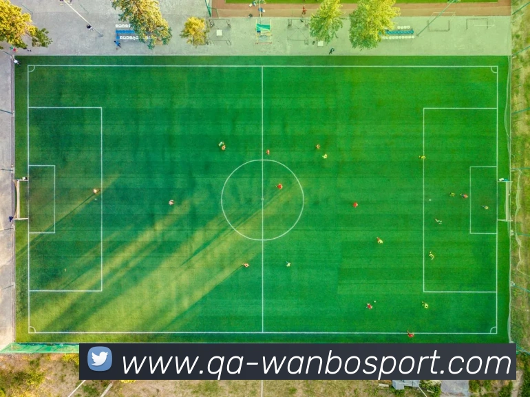 万博足球官网平台生态图