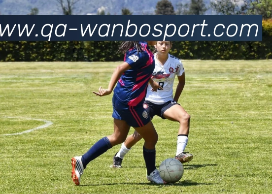 万博足球官网APP 封面图